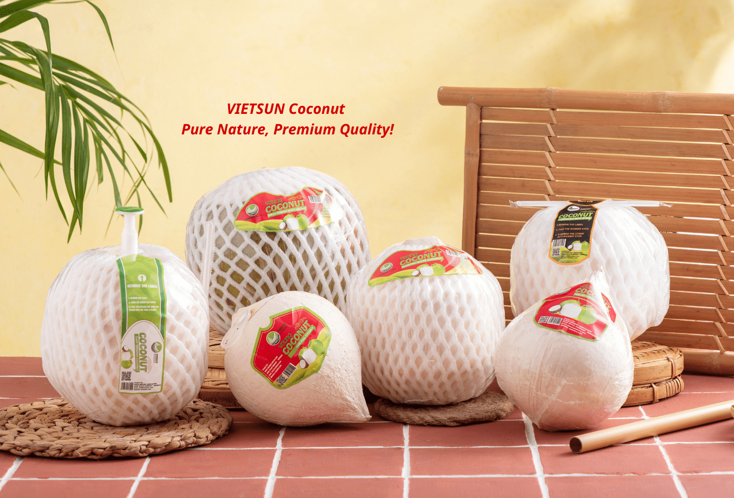 Fresh Young Coconut: Taste, Benefits & How to Buy | Vietsun