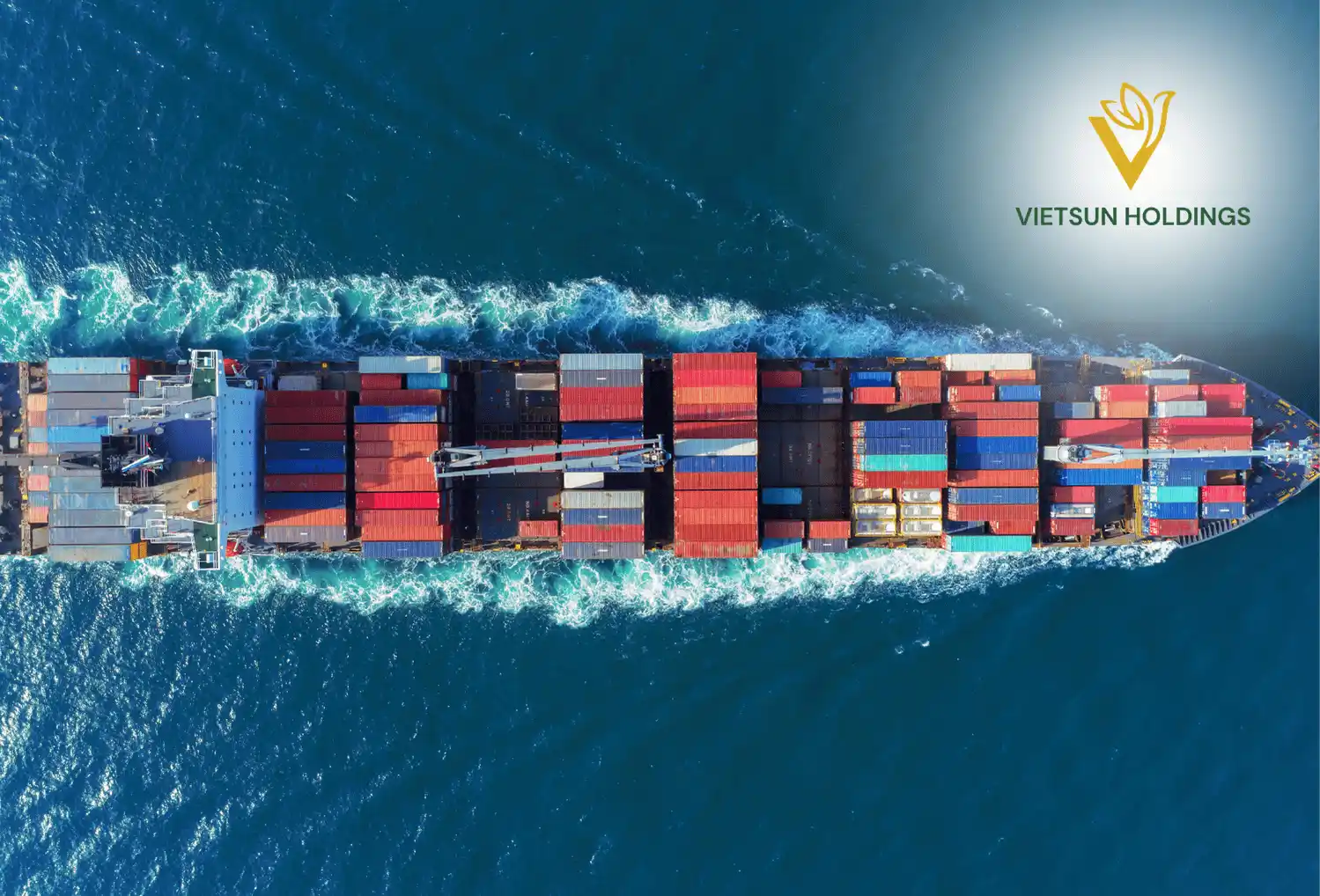 Top 10 Coconut Exporting Countries 2024