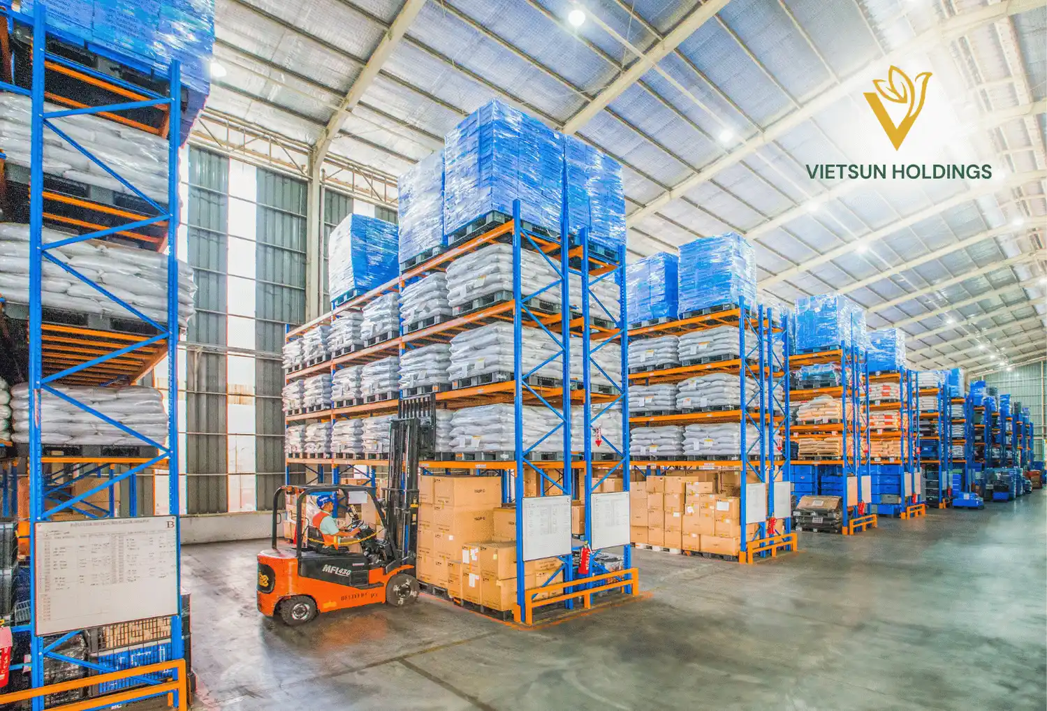 Leading Vietnam Coconut Export: Your Source for Premium Fresh Coconut Products and Diamond Coconut Water - Vietsun Holdings