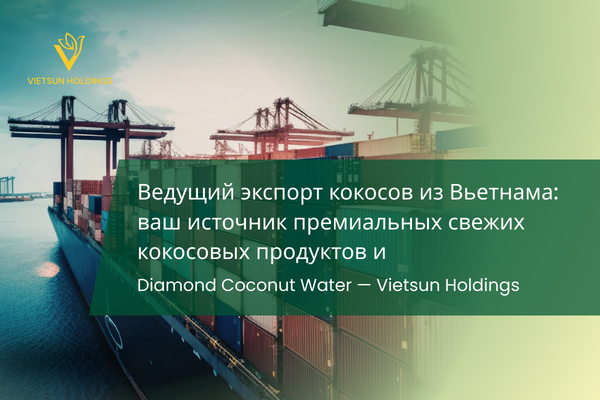Ведущий экспорт кокосов из Вьетнама: ваш источник премиальных свежих кокосовых продуктов и Diamond Coconut Water — Vietsun Holdings