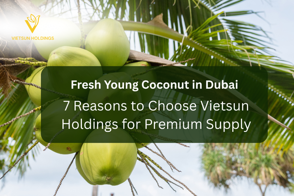 Fresh Young Coconut in Dubai: 7 Reasons to Choose Vietsun Holdings for Premium Supply