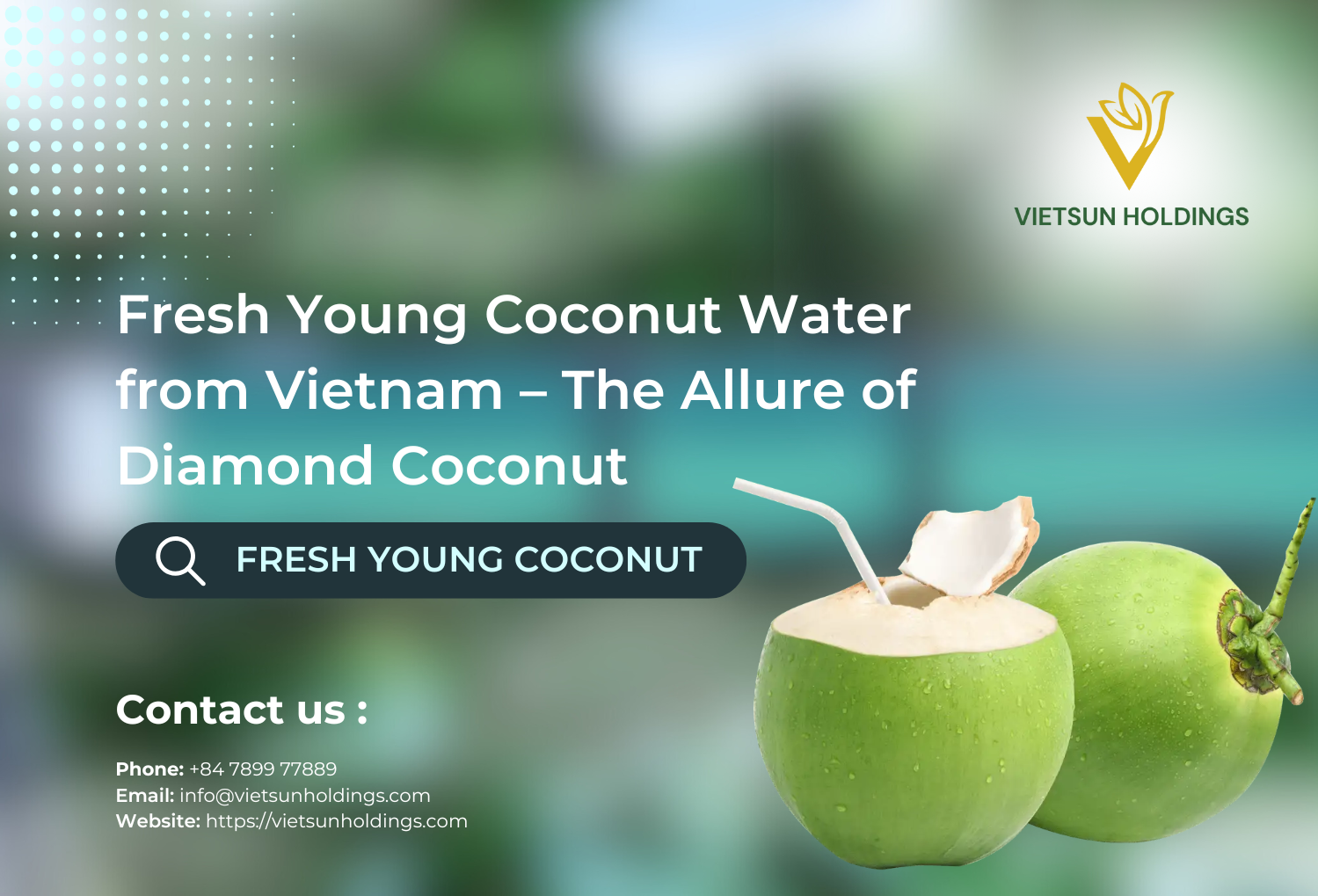 Fresh Young Coconut Water from Vietnam - Diamond Cut | Diamond Coconut Water