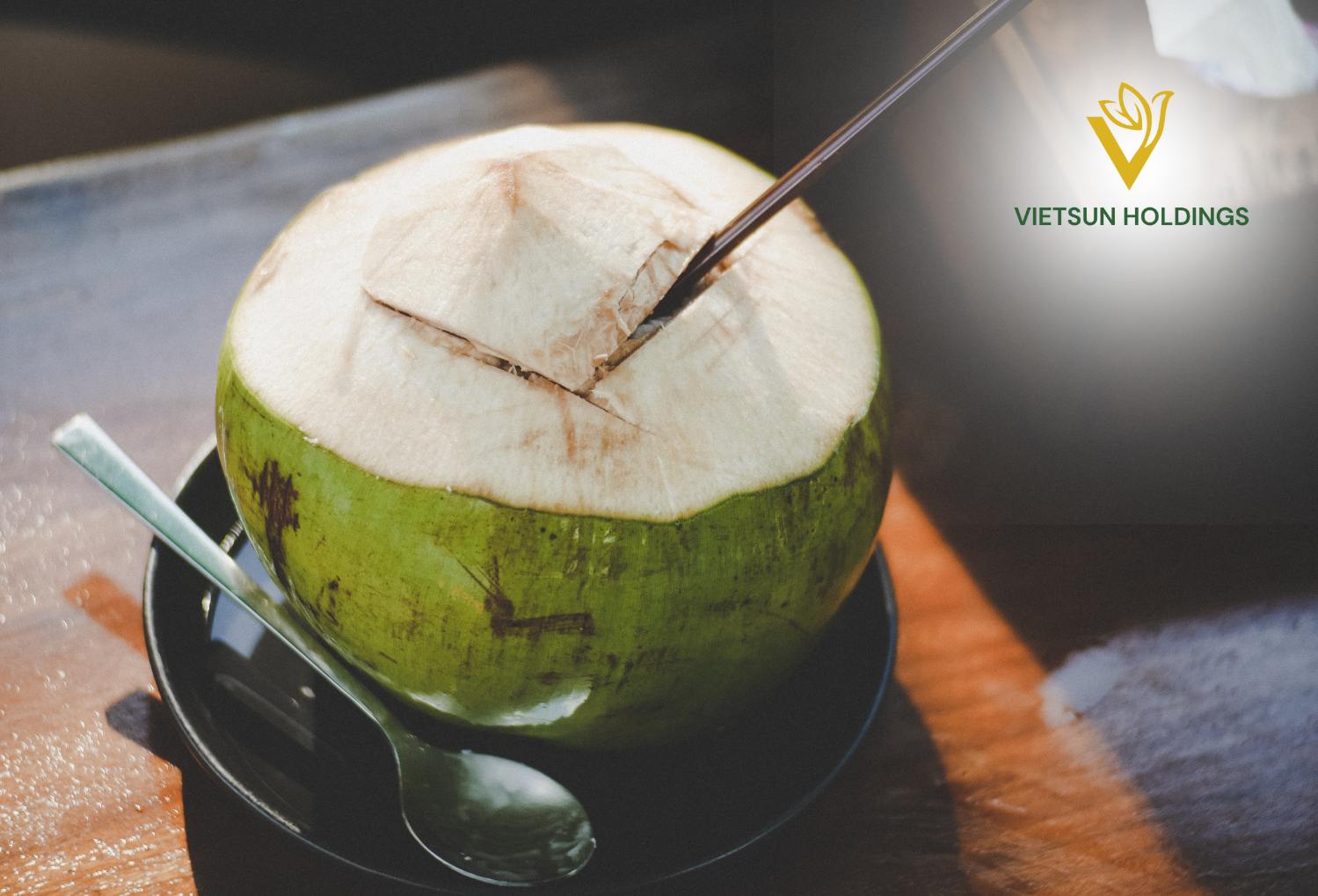 Experience Pure Refreshment: Fresh Young Aroma Coconuts | Vietsun Holdings