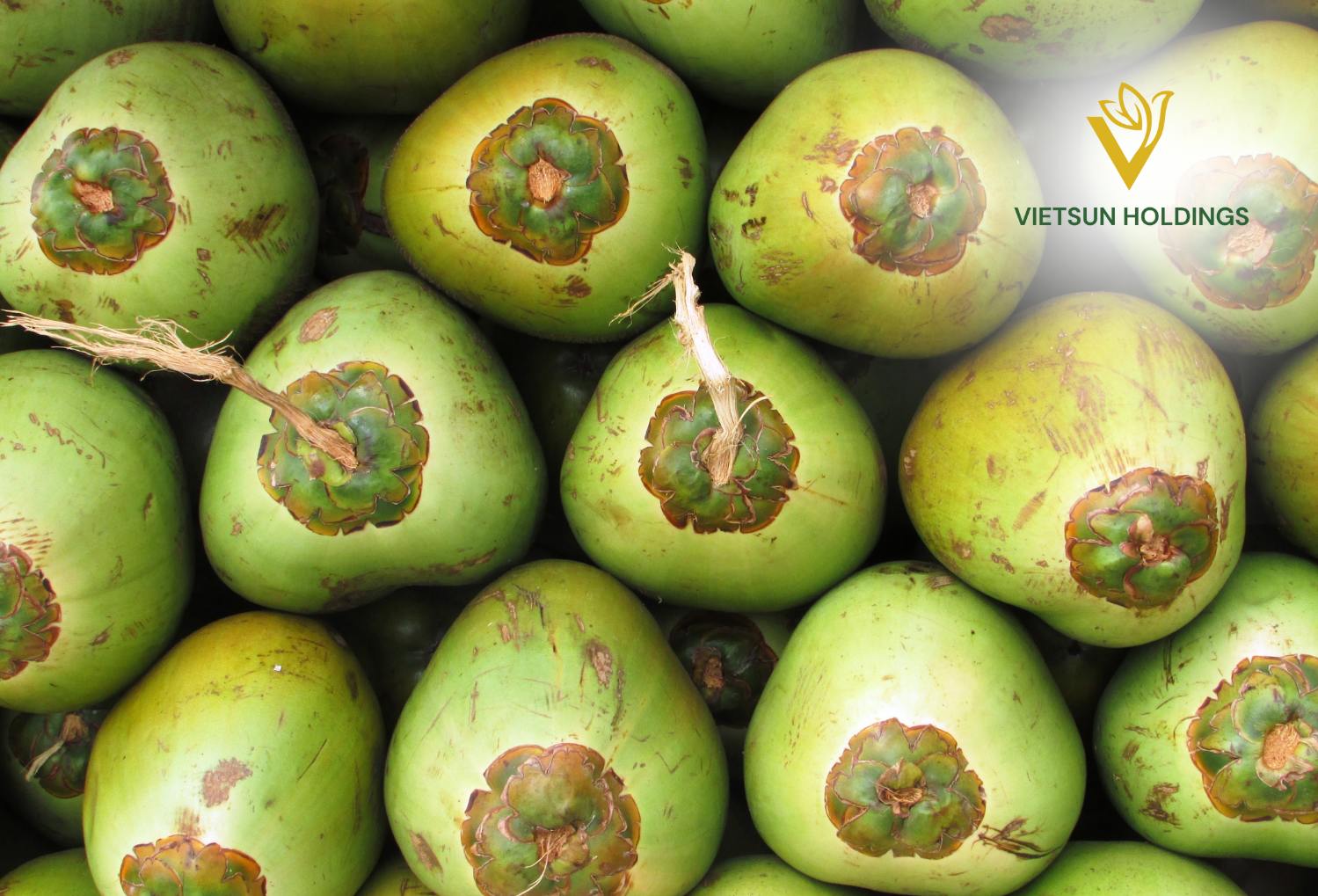 Pure Hydration: Organic Frozen Young Coconut Water & Juice | Vietsun Holdings