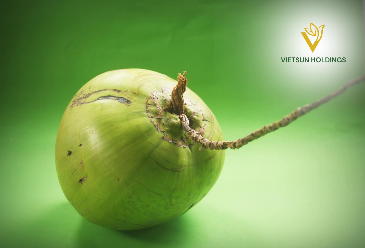 Quench Your Thirst: Fresh Drinkable Young Coconut | Vietsun Holdings