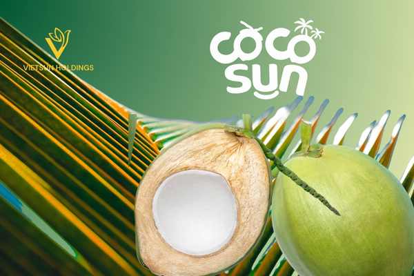 Why Desiccated Coconut Is a Must-Have Ingredient for F&B Manufacturers | Vietsun Holdings