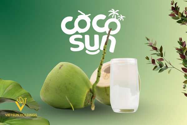 Важные сертификаты для экспорта кокосовой продукции: HACCP, ISO и органические стандарты