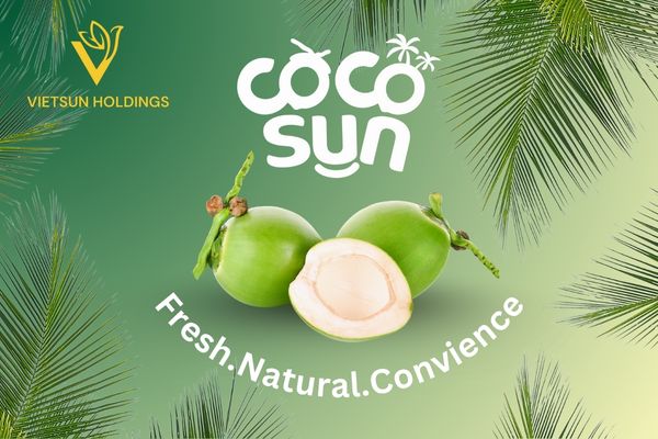 CocoSun Powered by Vietsun Holdings: A Vision for Global Impact