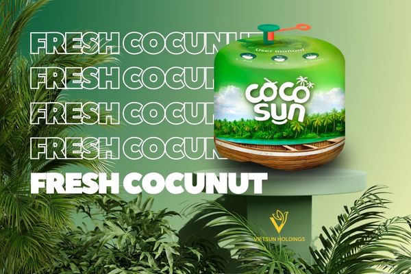 CocoSun Origins: Nature’s Purity, Delivered with Convenience