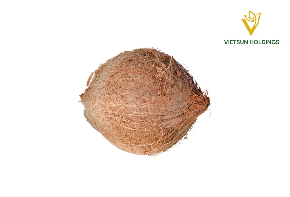 Кокос с частично удалённой шелухой