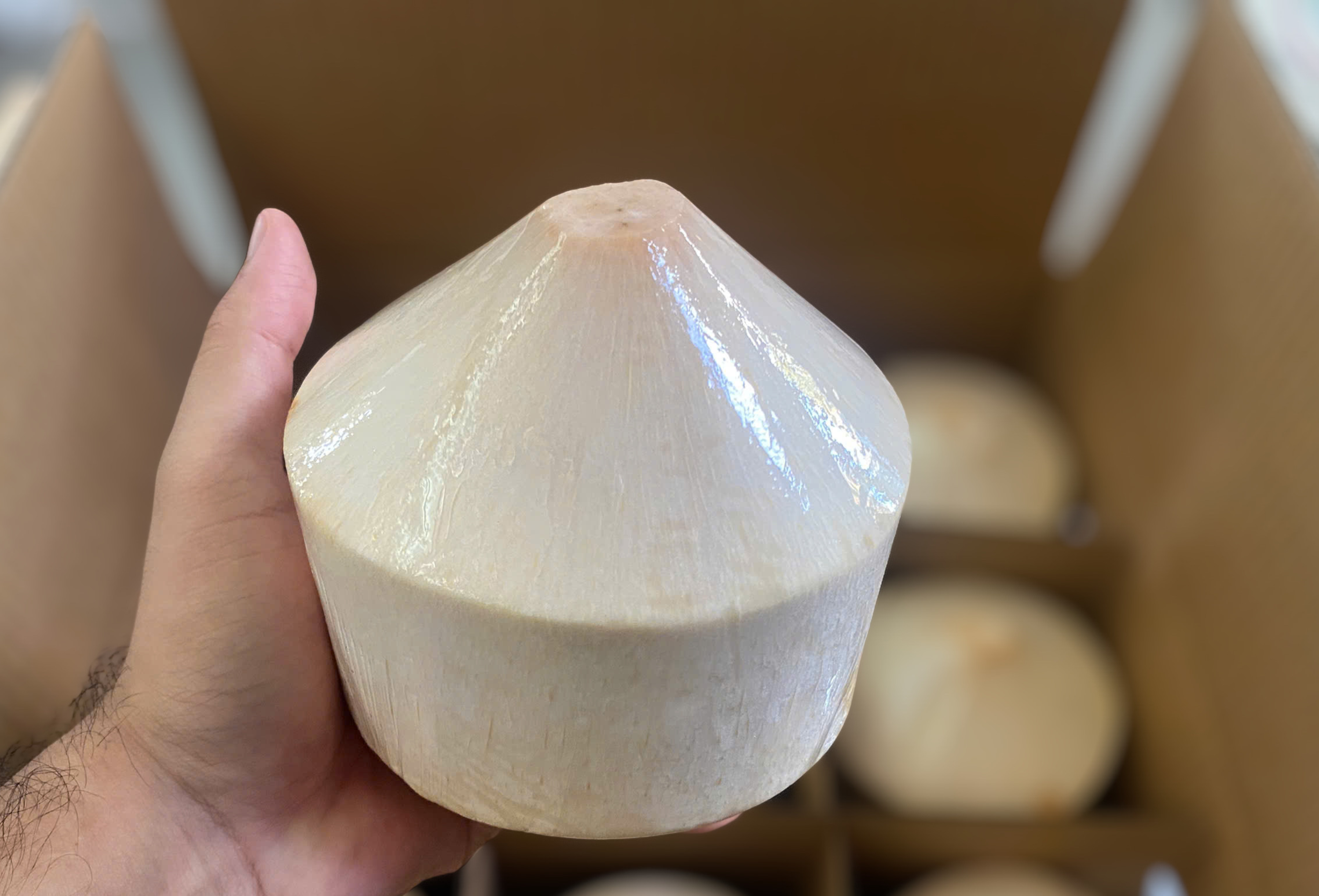 Кокос Diamond Coconut