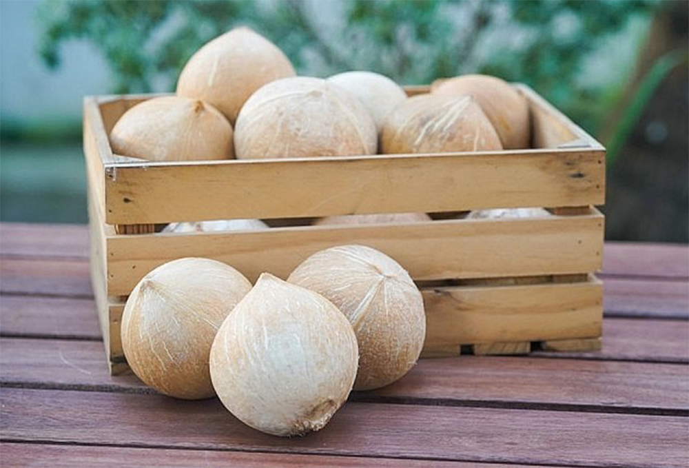 Полностью очищенный кокос