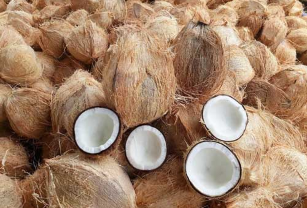 Кокос с частично удалённой шелухой