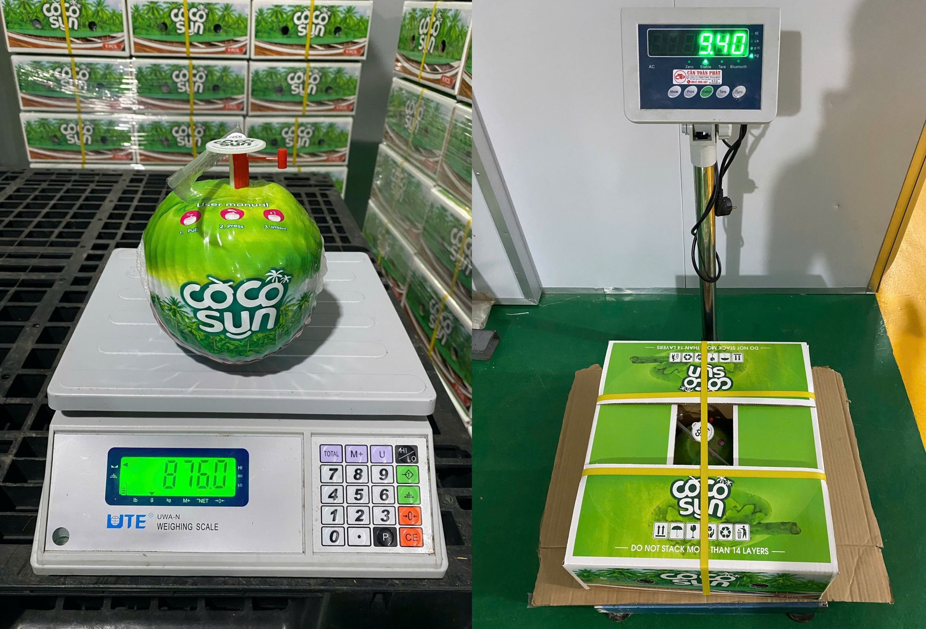 Свежий кокос Coco Sun