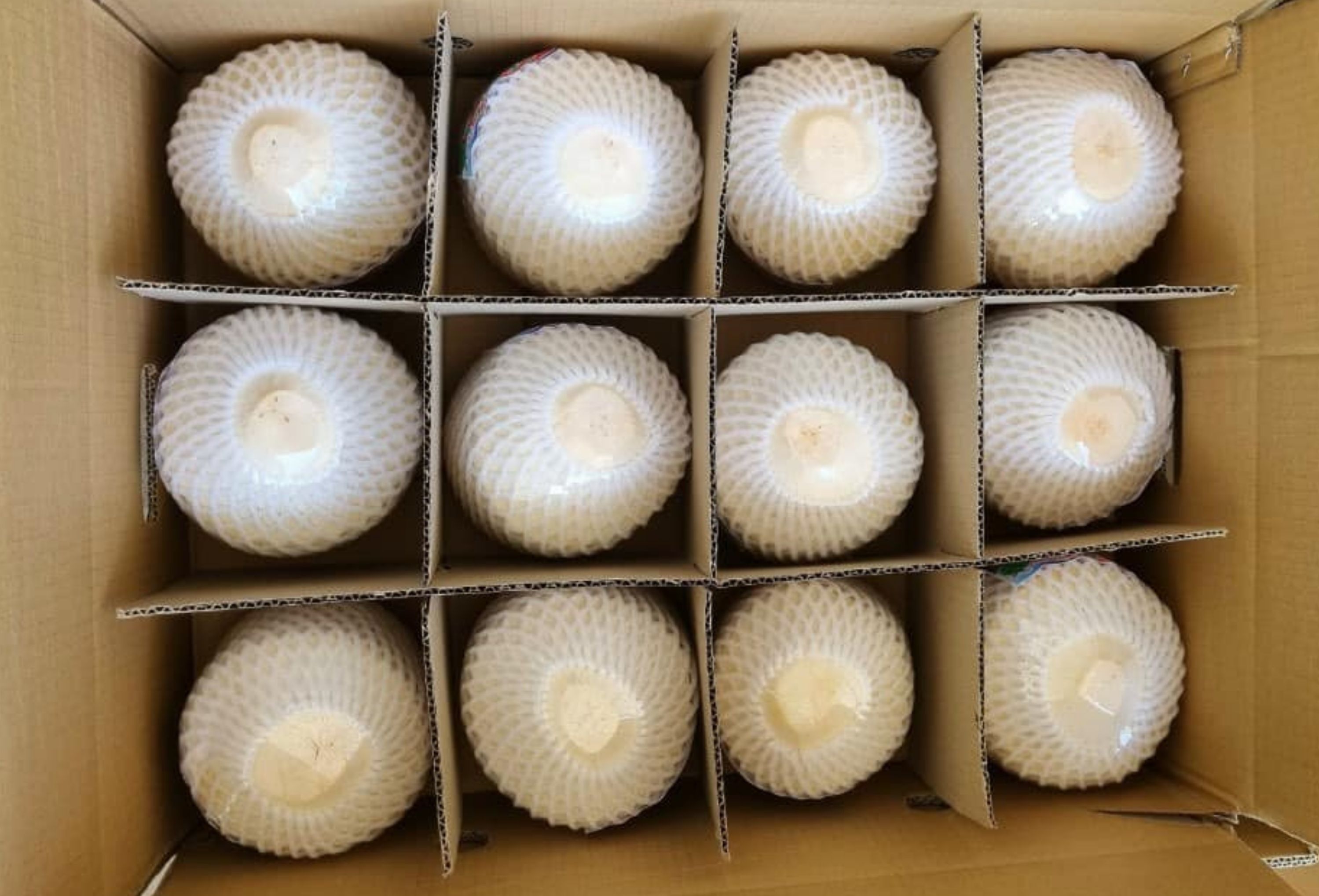 Кокос Diamond Coconut