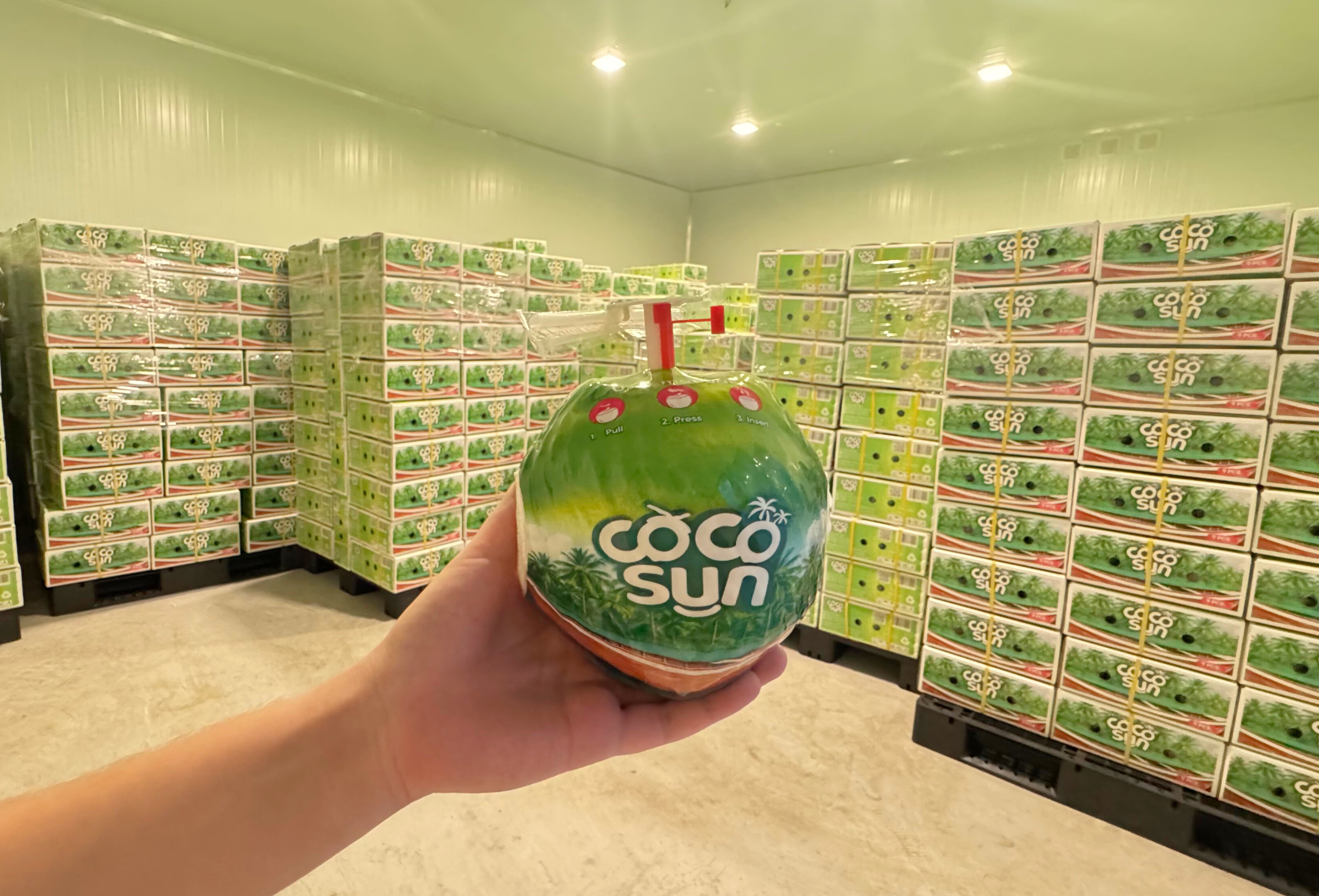 Свежий кокос Coco Sun