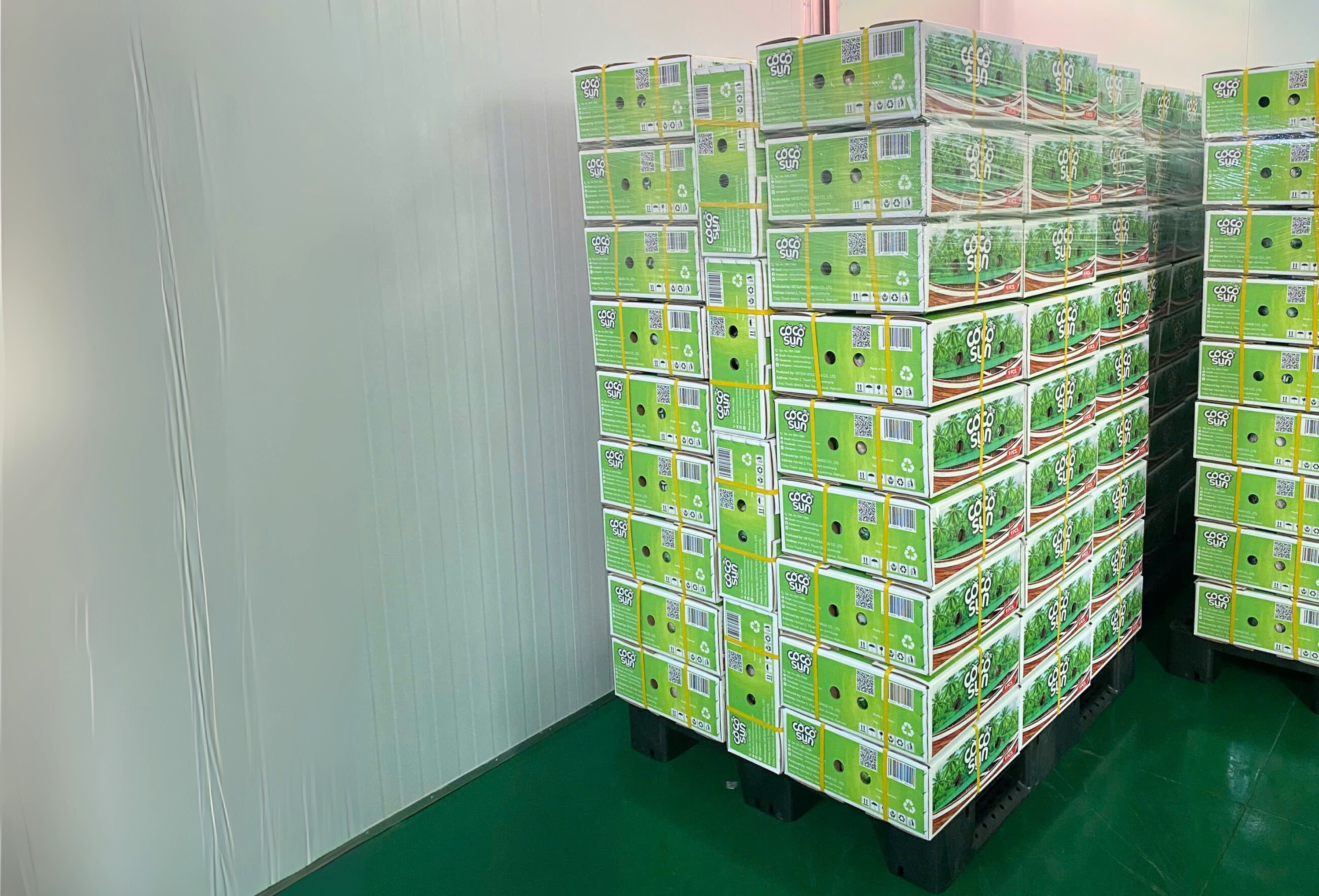 Свежий кокос Coco Sun